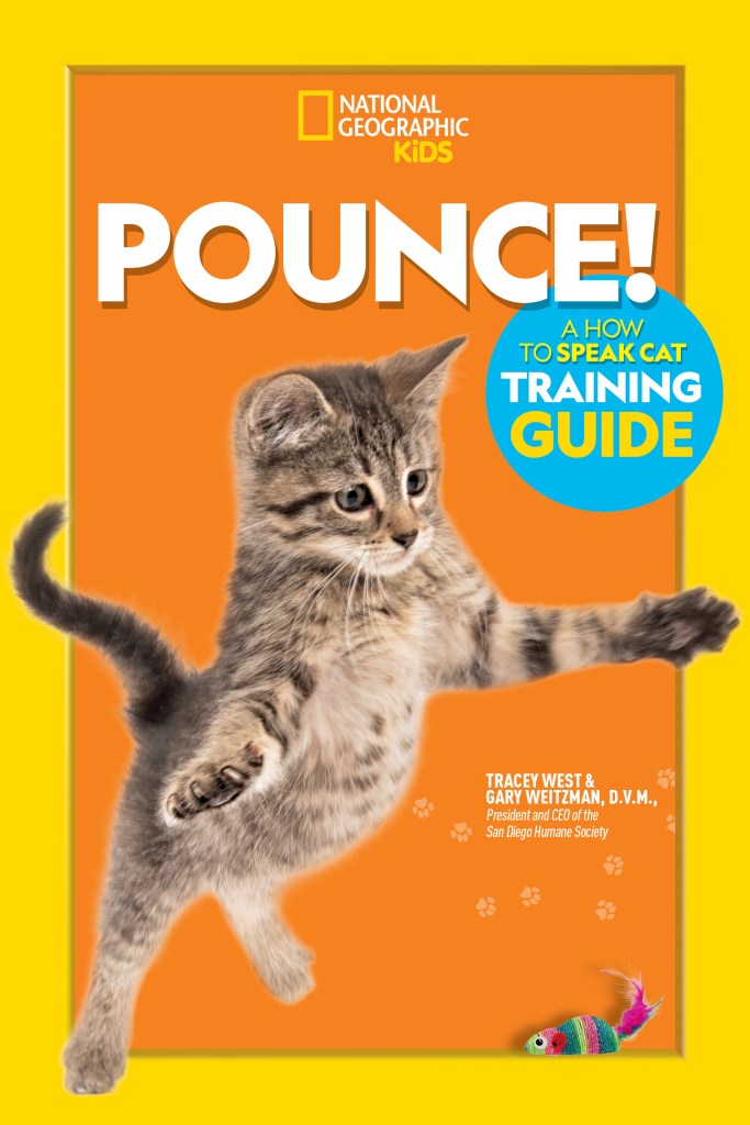 The cover of Pounce! shows a grey kitten jumping in the air to pounce on a colorful toy mouse.