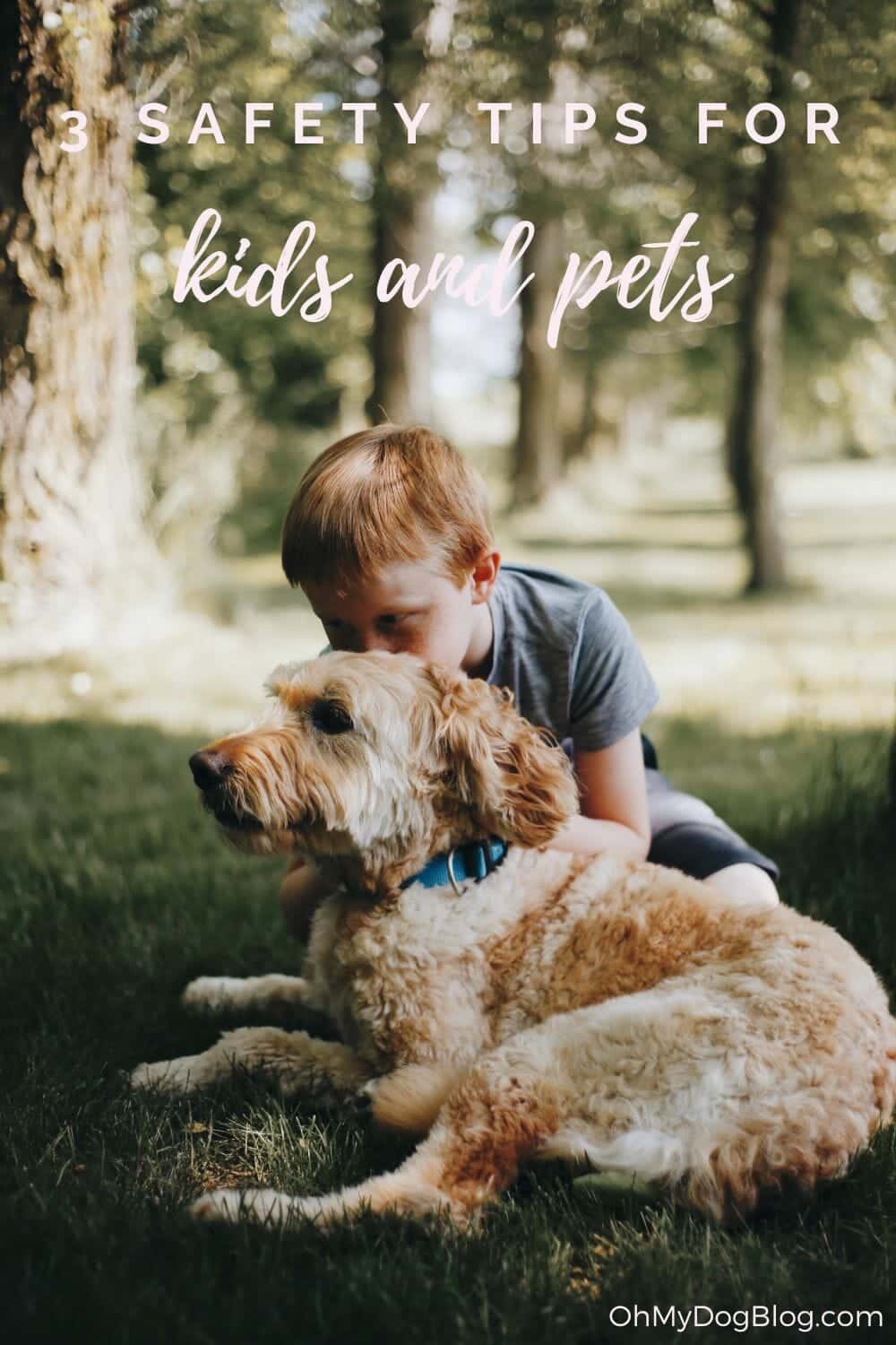 3 Pet Security Ideas for Children