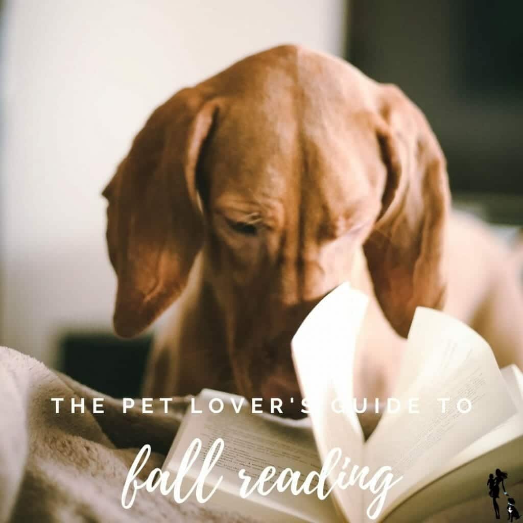 2020 Fall Studying Information for Pet Lovers