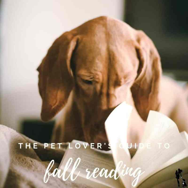 A dog lounges on a bed with a book propped in front of his nose. The text overlay says: The Pet Lover's Guide to Fall Reading. 