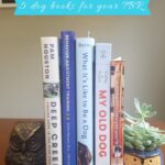 5 Canine Books to Learn This Summer time