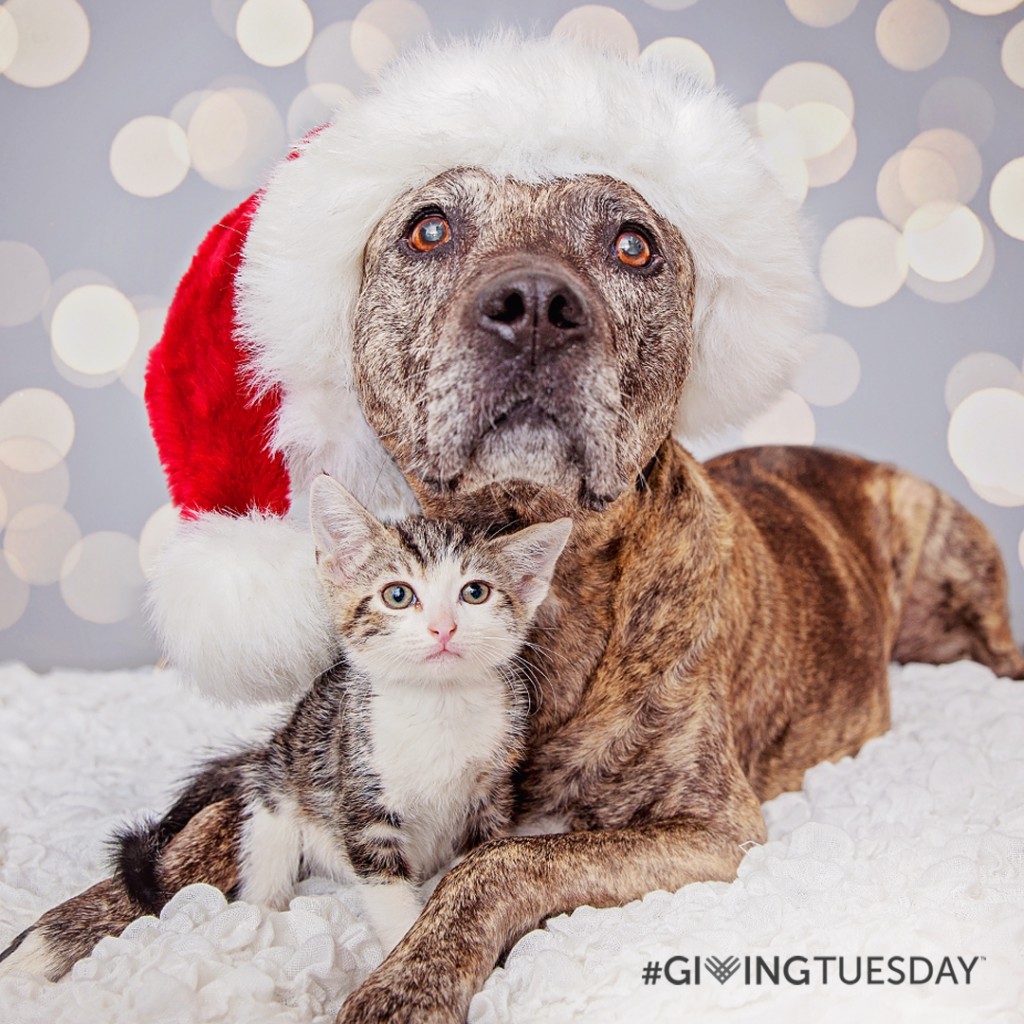 Have a good time #GivingTuesday at Finest Buddies