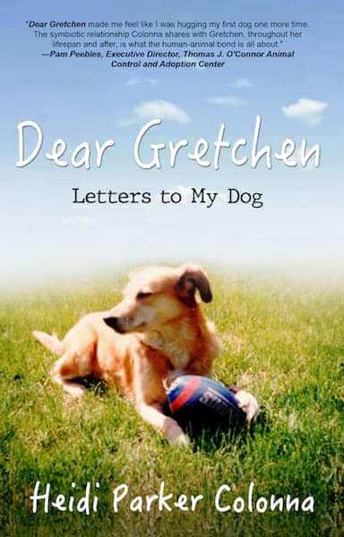 A tan-colored dog lies in green and brown grass with her paw on a blue football. A blue sky above is dotted with white fluffy clouds. The title of the book reads Dear Gretchen Letters to My Dog. 