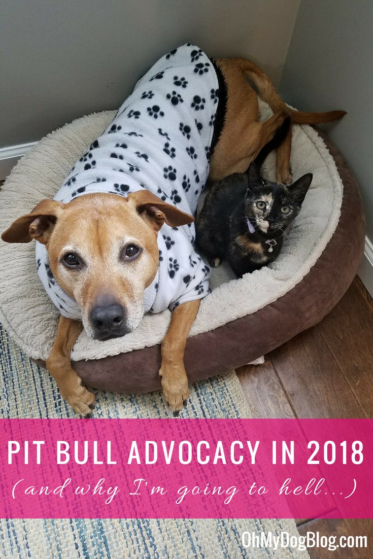 Pit Bull Advocacy in 2018