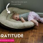 Gratitude – Oh My Canine!