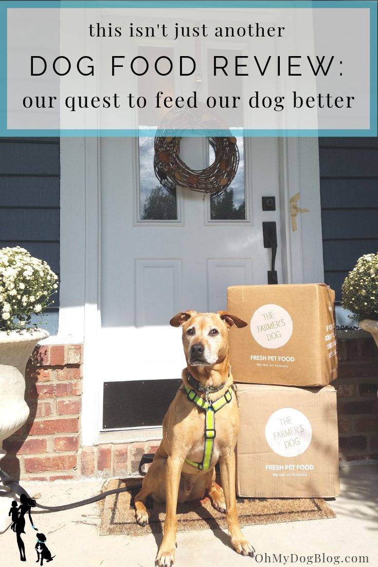 Not One other Canine Meals Overview: Our continued quest to feed our canine effectively