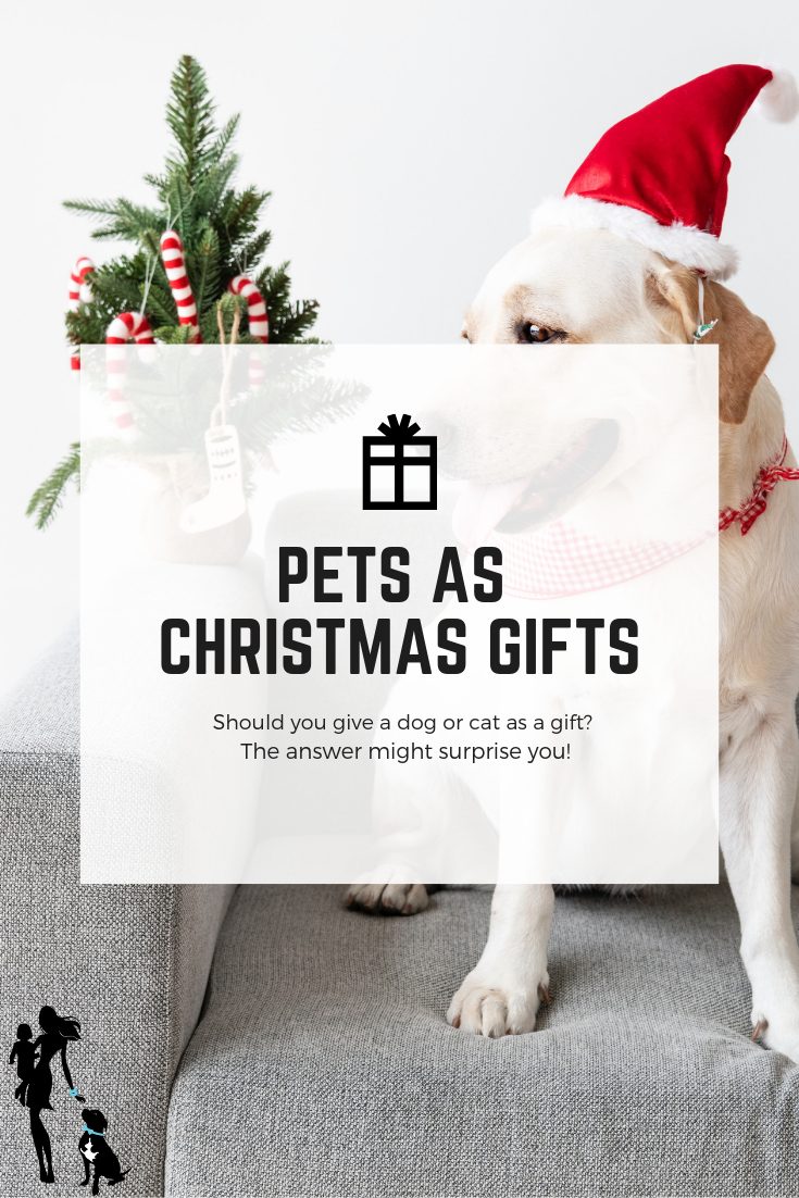 Pets for Christmas: Must you reward a canine or a cat?