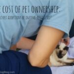 The price of pet possession: Ought to animal adoption be restricted by earnings?