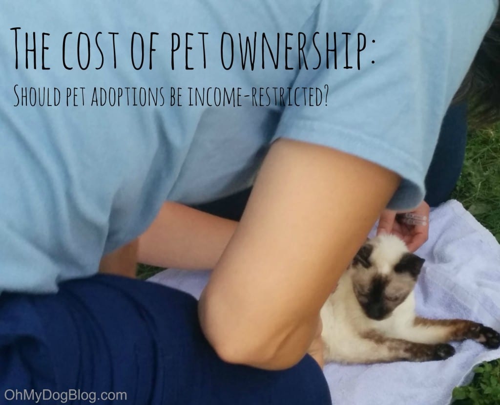 The price of pet possession: Ought to animal adoption be restricted by earnings?