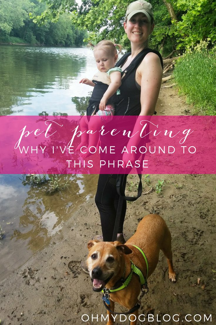 Why I’ve come round to the phrase pet parenting